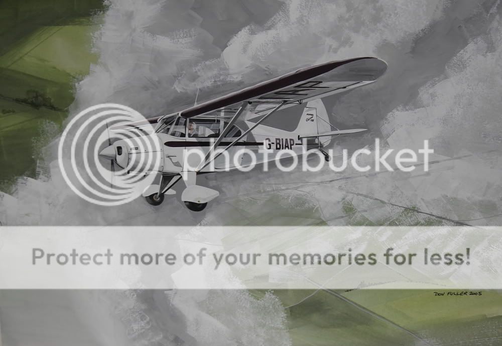http://i536.photobucket.com/albums/ff321/taylortony/Aviation/art/DFPiper.jpg