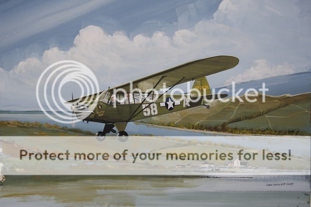 http://i536.photobucket.com/albums/ff321/taylortony/Aviation/art/DFPiperCub.jpg