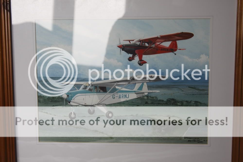 http://i536.photobucket.com/albums/ff321/taylortony/Aviation/art/DFPiperpair.jpg