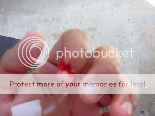 Photobucket Image Hosting