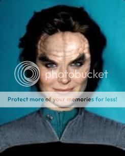 dphlox.jpg