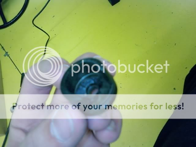 Posted Image
