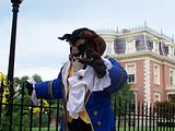 100_3473.jpg image by Ex-S_Cosplayer
