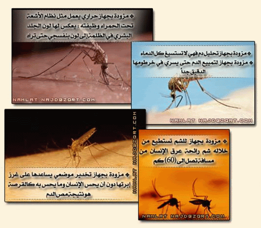 ���� ����� ������ ����� ������� ��������. ��� ����� �� �����