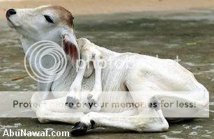 �� ����� ����� �� ����� �� ���� ��� ������ ��