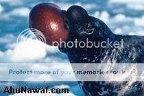 ������� ������ �����. ������ ������ �� �������� ���� ��� �����